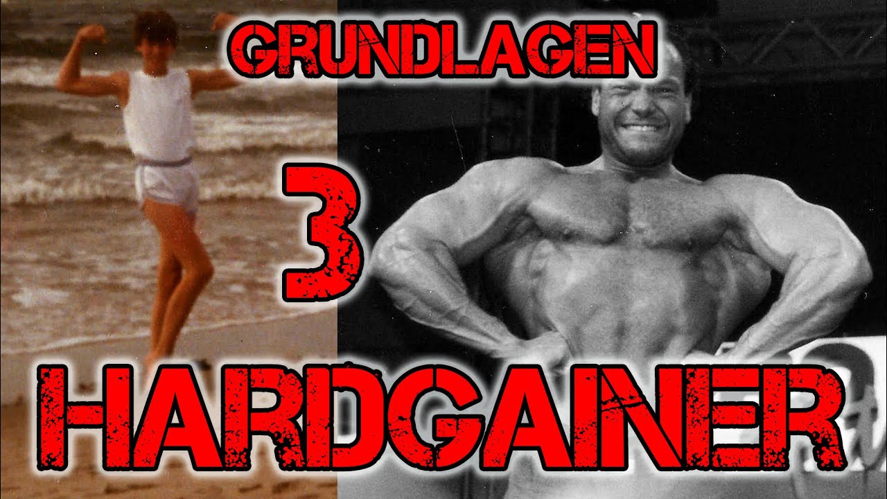 Teil 3 PITT-MASSE: HARDGAINER Grundlagen