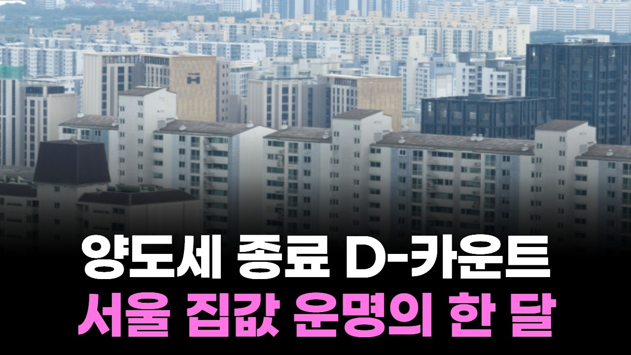 양도세 종료 D-카운트…서울 집값 운명의 한 달