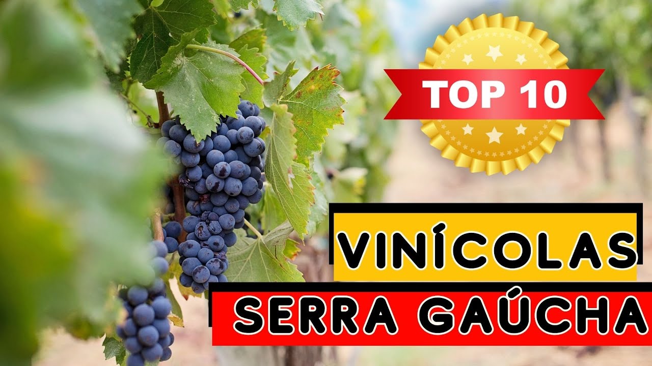 Top 10 Vin&iacute;colas da Serra Ga&uacute;cha: Conhe&ccedil;a as Melhores Vin&iacute;colas Serra Ga&uacute;cha Segundo o P&uacute;blico.