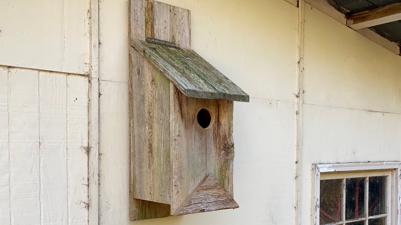 How to make a screech owl nesting box