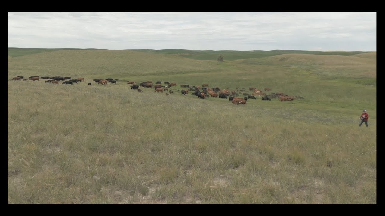 How does the FaRM Program support farmers who are looking to adopt high resilience practices?