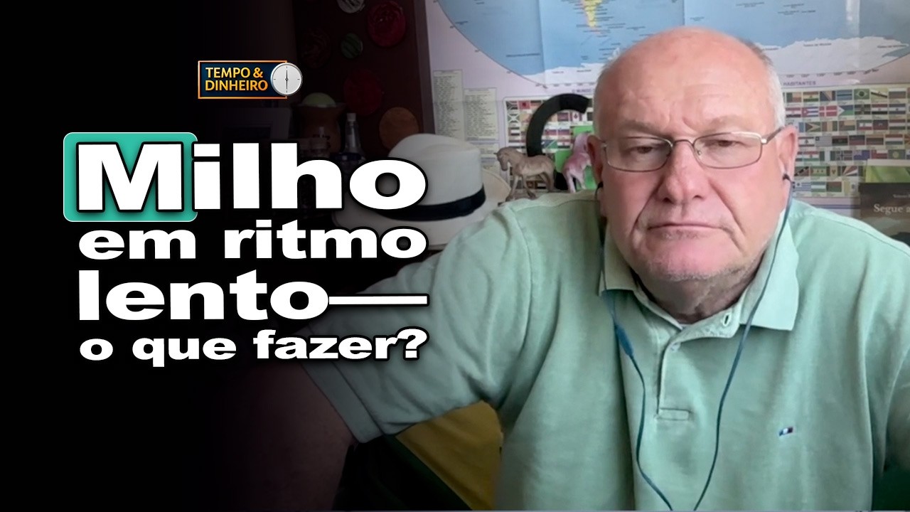 Milho em sexta-feira técnica: mercado ajusta posições antes do fechamento