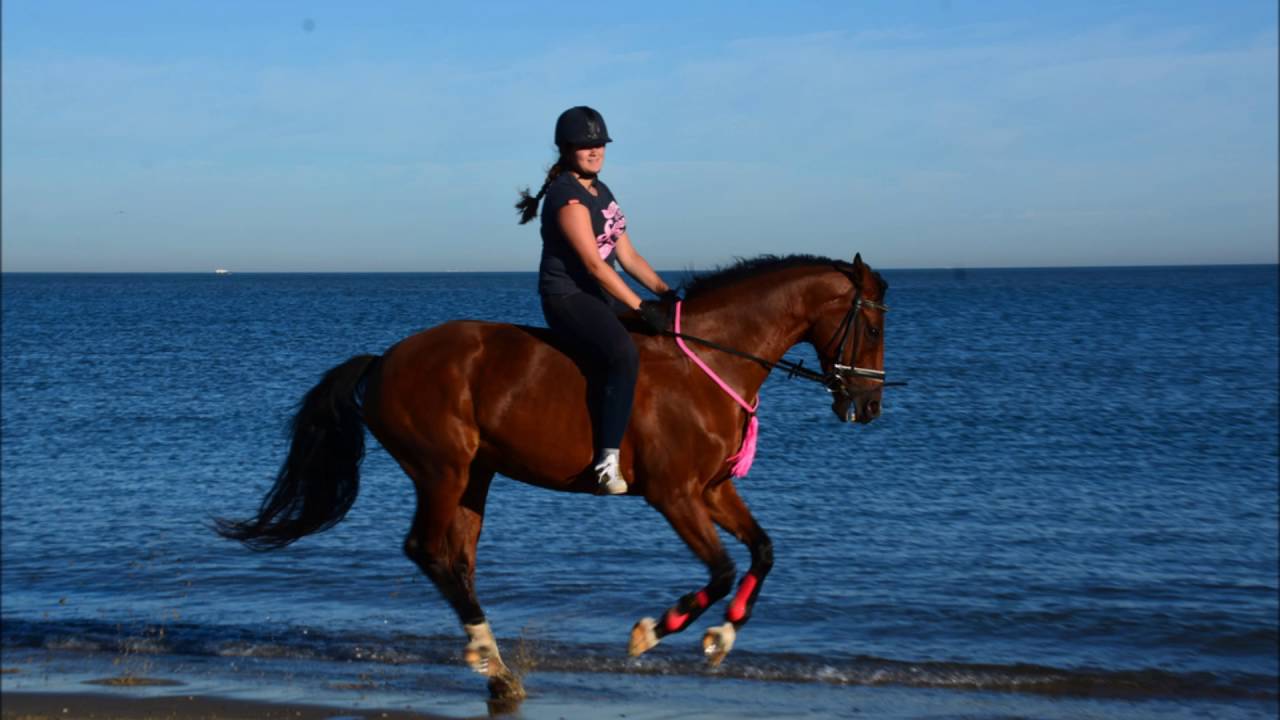 Ponyhof zomer week 8 2016 Woezel