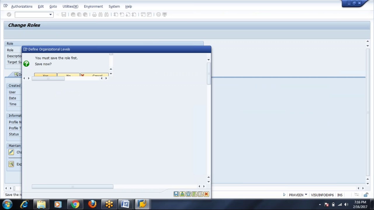 Day 7 - Authorization Tab in PFCG