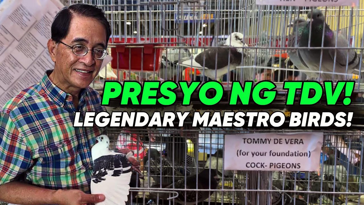 PRICE REVEAL NG CHAMPION OLD LINES NA KALAPATI SA PH PIGEON EXPO 2024 😱