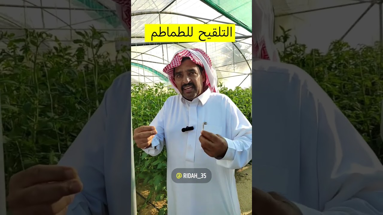 زيارة مزارعين الأحساء للصالات الزراعية في مزارع آل ضاحي بمحافظة القطيف (1)