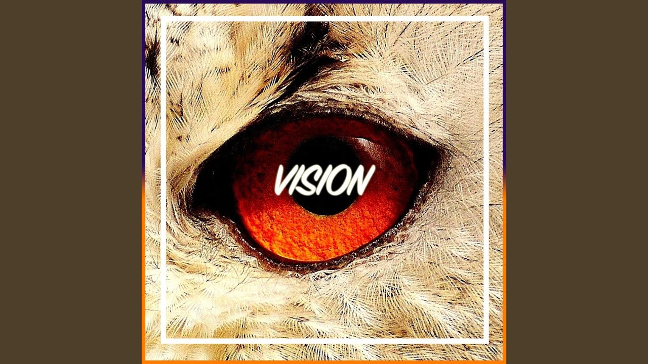 Vision