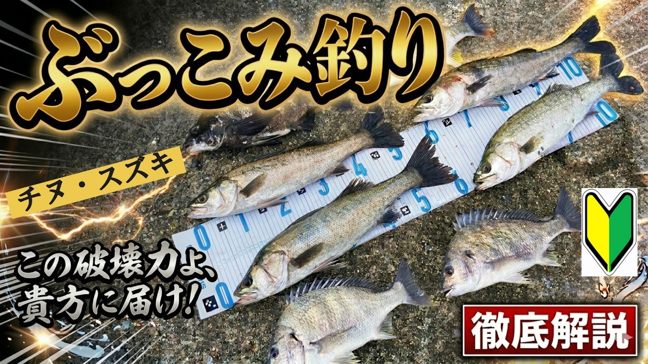 【ぶっこみ釣り徹底解説！】この破壊力よ、貴方に届け！!（チヌ・スズキ）