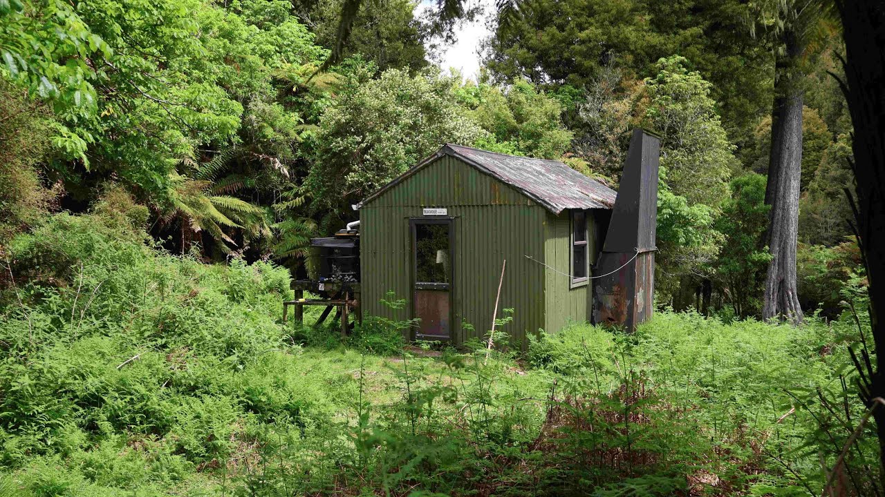 Makakoere Hut - Overnight Tramp in Waioweka & Te Urewera