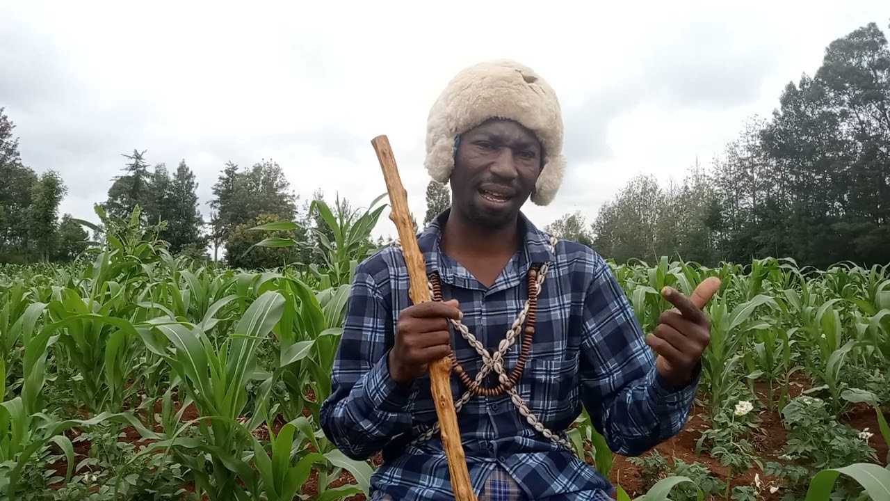 kwabìrìria Rùracio na mwati na harika(big inning of kikuyu dowery)  part 1subscribe/share