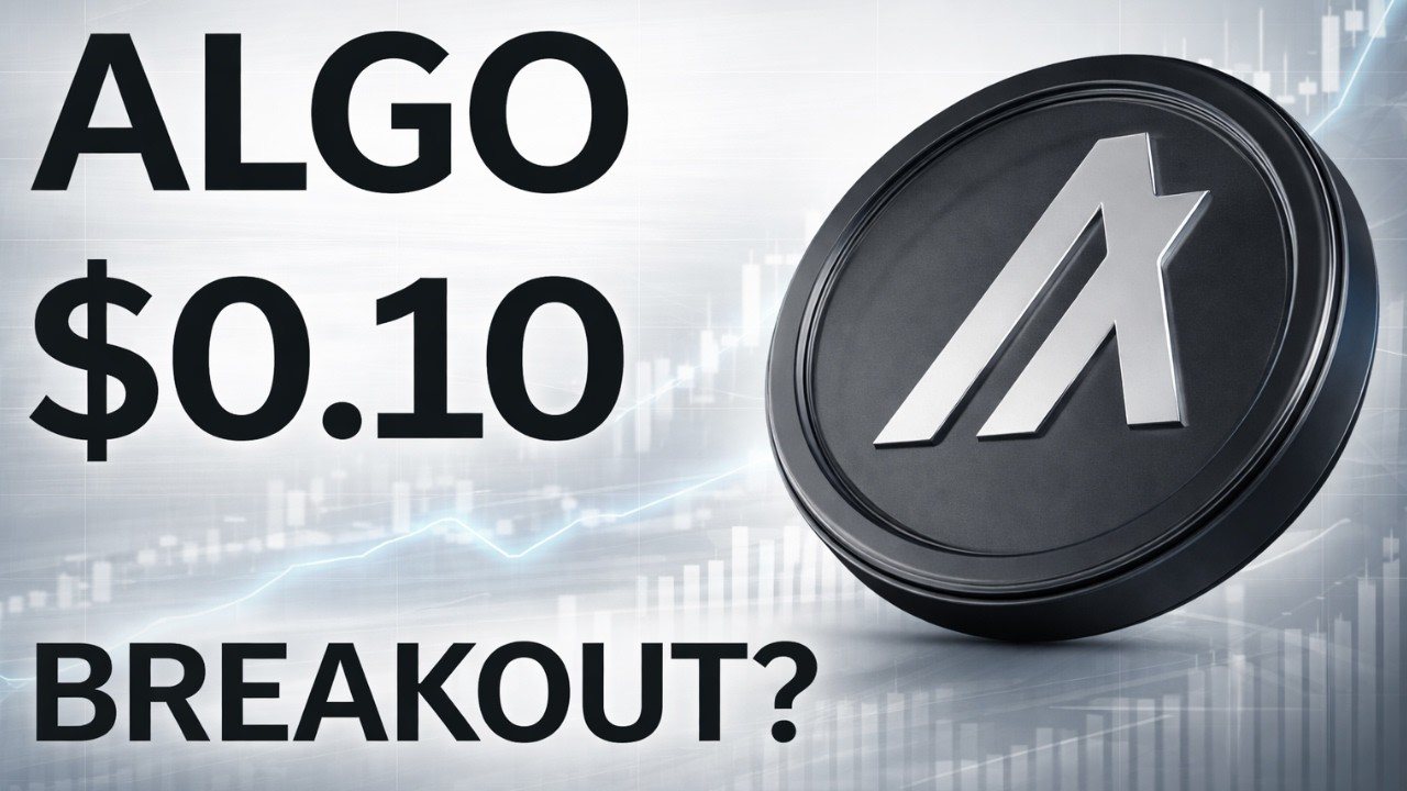 ALGO at $0.10&hellip; Is Algorand About to Explode in 2026? 🚀