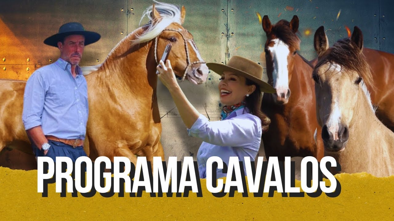 Campeão do Freio de Ouro faz test drive e reencontra amigos do cavalo!