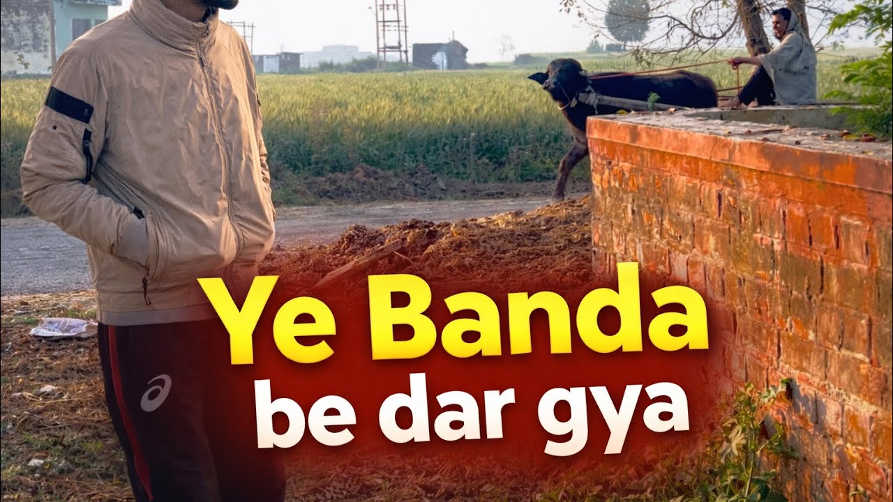 ye Banda Be dar gya 😂😂😂Full Sunday Vlog 😂#viral #funny #tranding #vlog #shortvideo #comedy 