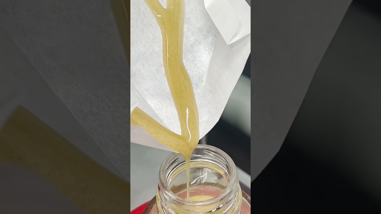 Gary Payton Live Rosin Press - Post By ButtersBubble On Reddit