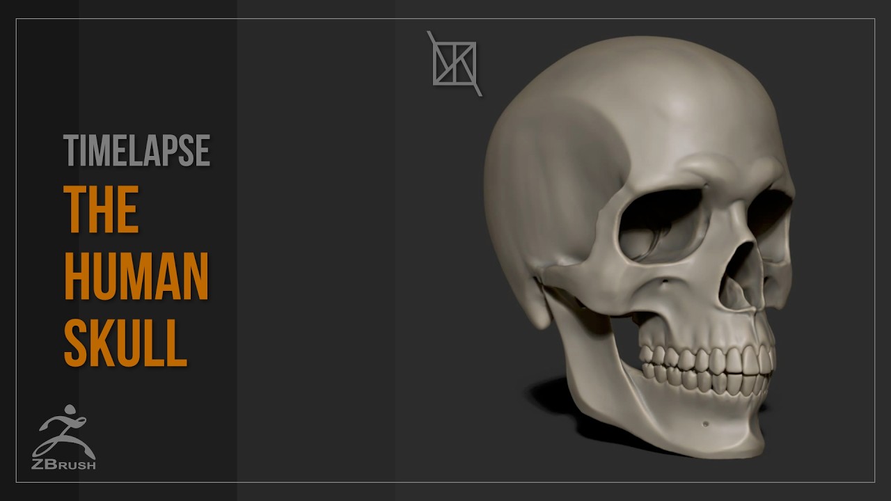 ZBrush Skull Timelapse