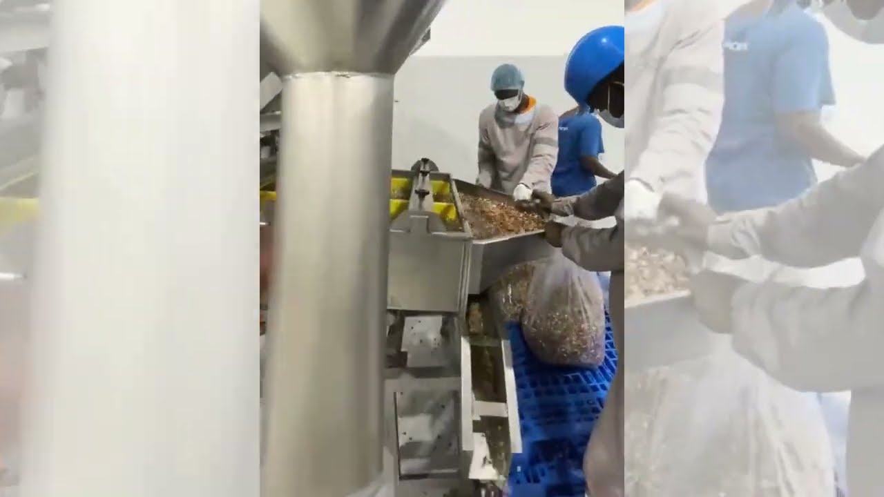 CRZ MAKINA - CRZ 750RO NUTS ROASTING PEELING AND CALIBRATING LINE