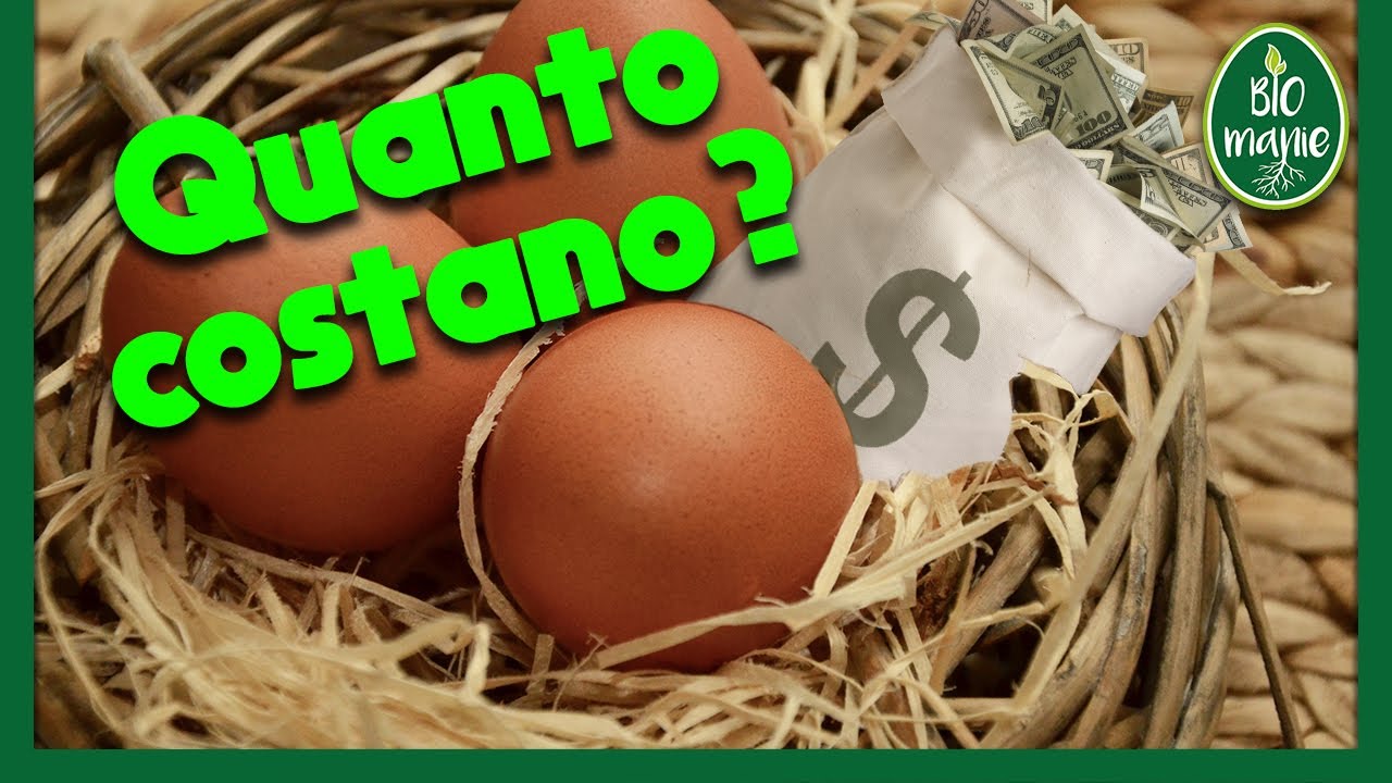Quanto COSTA produrre un UOVO BIO?