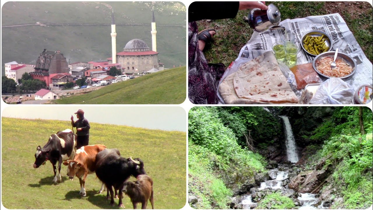 ⛰️🌿 Karadeniz’in Kalbine Yolculuk! Trabzon Araklı Yaylaları | Gezelim Görelim