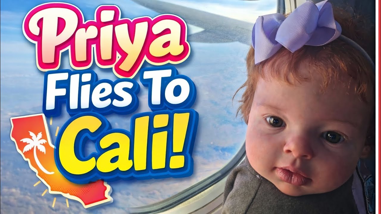 Reborn Toddler Priya's First Plane Ride ✈️