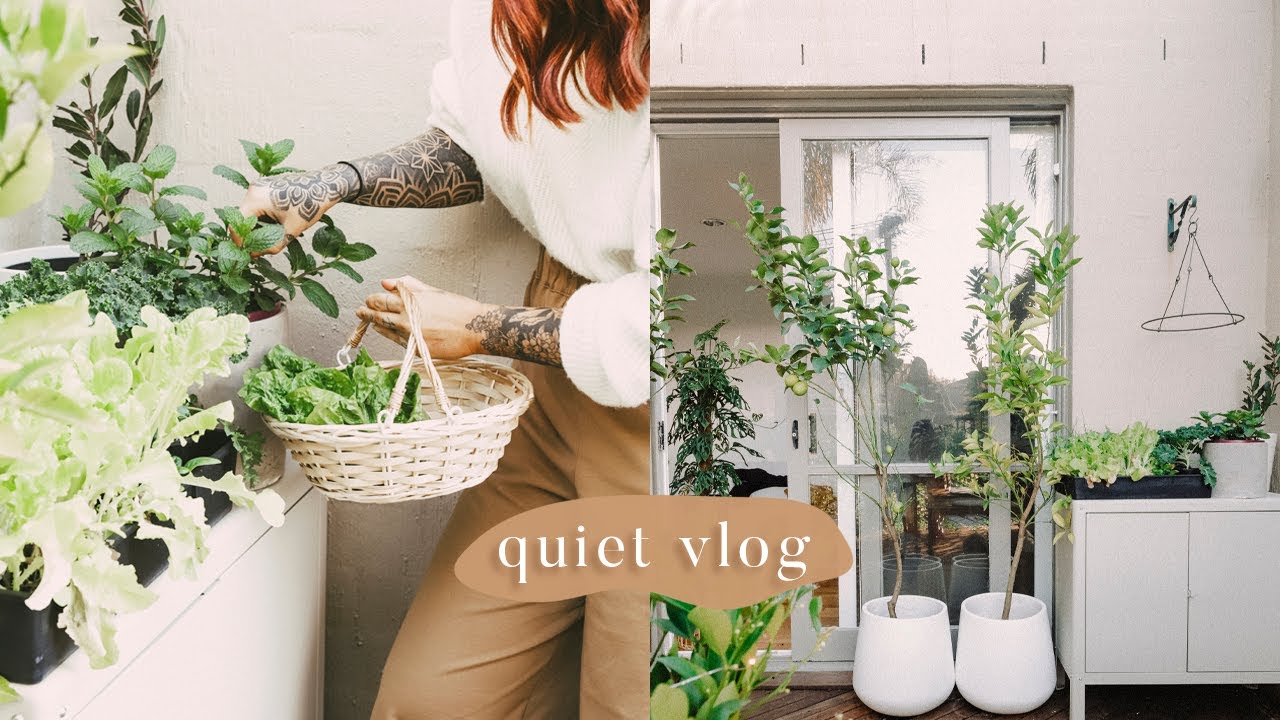 quiet days at home 🌿 creating a balcony garden