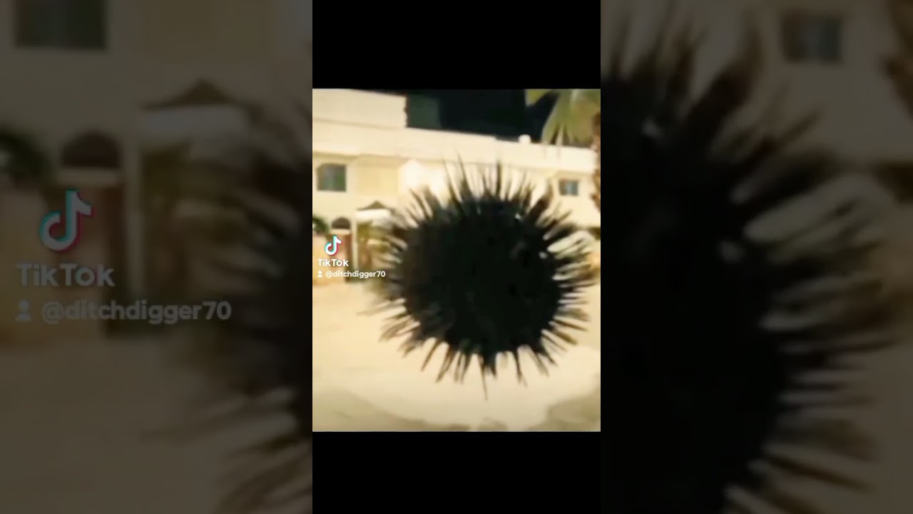 Wormhole at the Miami Mall incident you can see creatures just inside in another  dimension