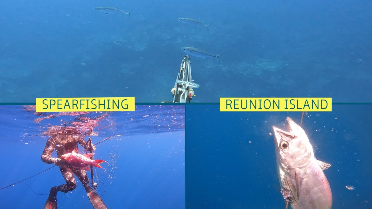 Chasse sous-marine île de la Réunion | Spearfishing Reunion Island | Episode 1