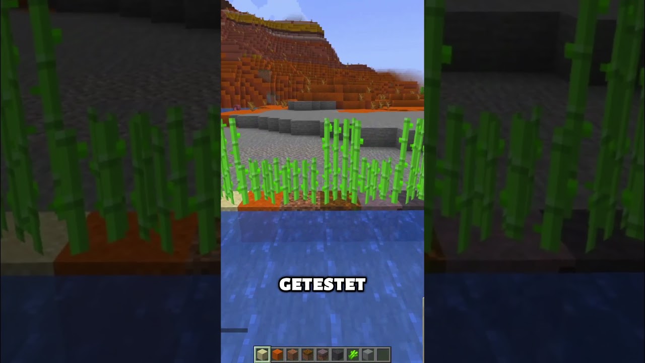 Wo w&auml;chst ZUCKERROHR am schnellsten #shorts  #minecraft