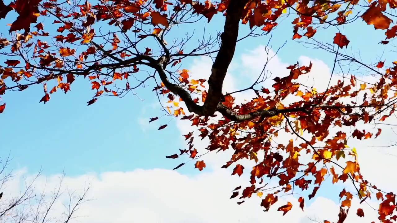 Improvisation in a classical style