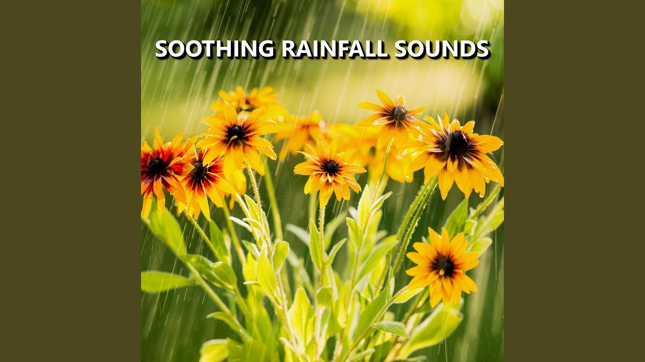 Pure Natural Rain Sounds