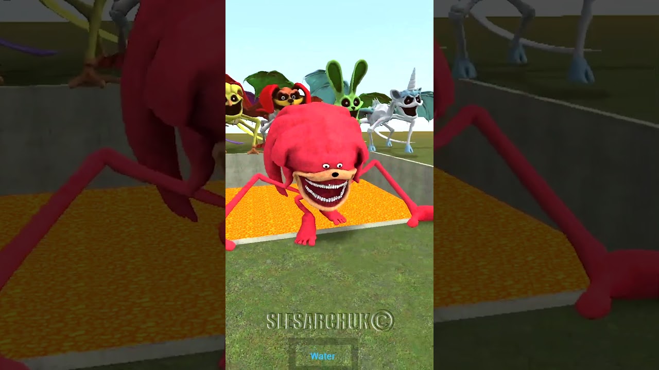 SONIC SHADOW AND KNUCKLES TAPES FAMILY WATER TRANSFORMATION LAVA PIT in Gmod !? #sonic #shadow