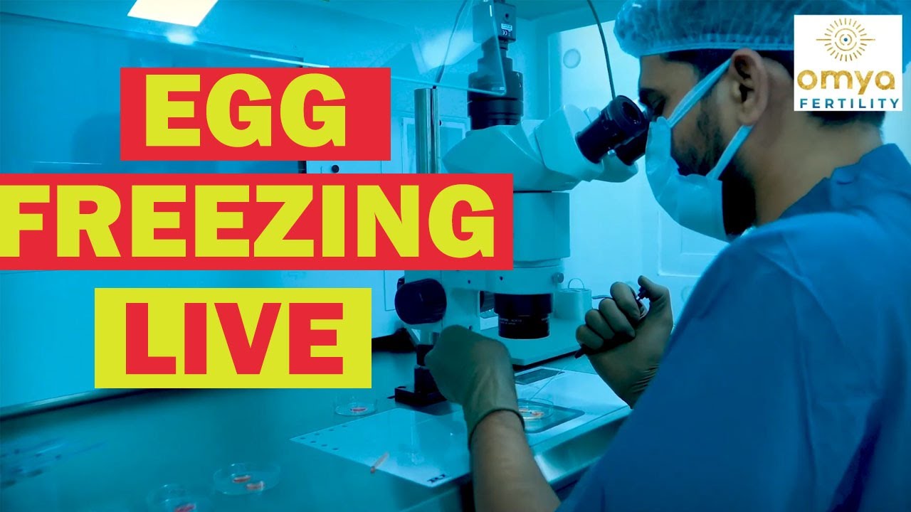 🔴Live Procedure Of Egg Freezing | Cryopreservation कैसे किया जाता है | OMYA Fertility (Delhi)