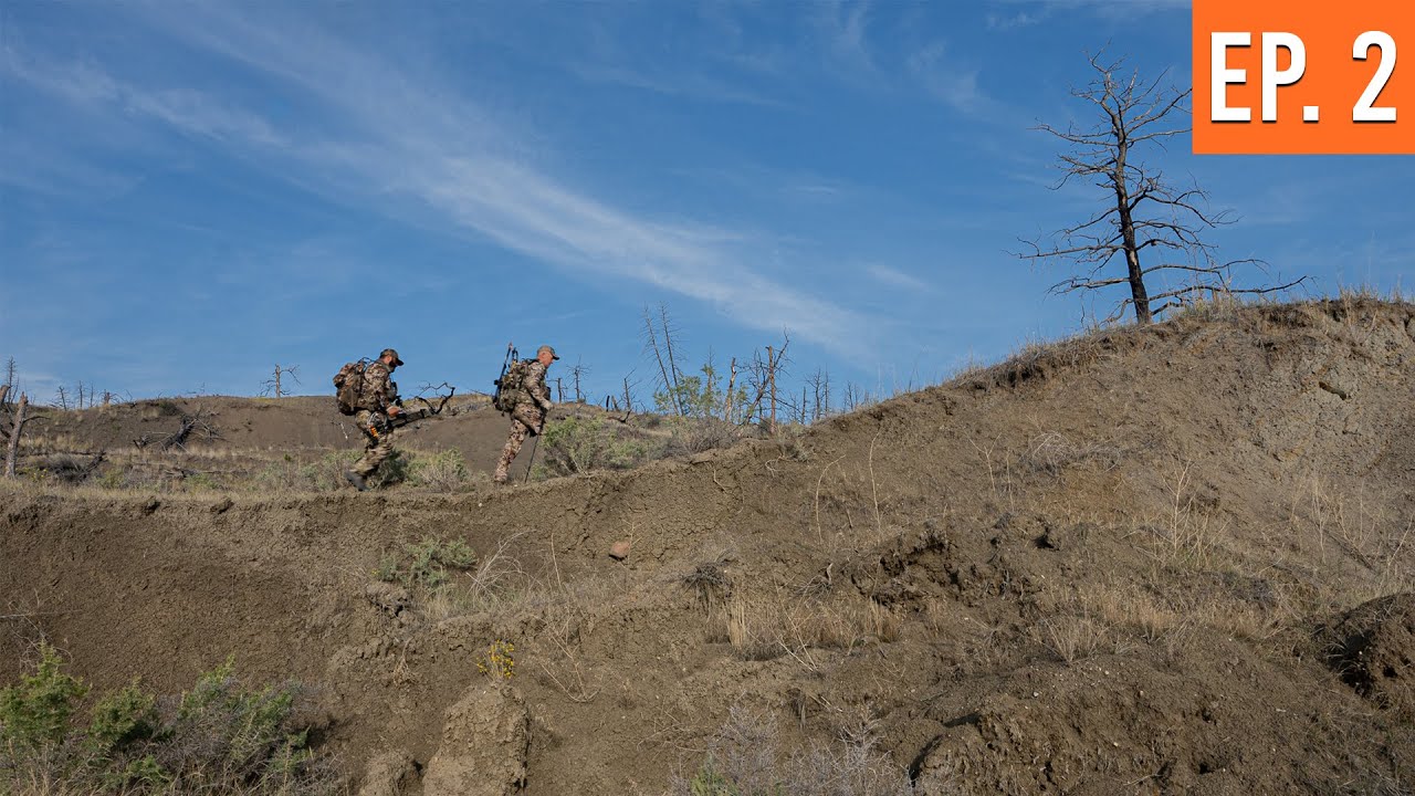 Watching another hunter ARROW an ELK | Montana Archery Elk with Randy Newberg (EP. 2)