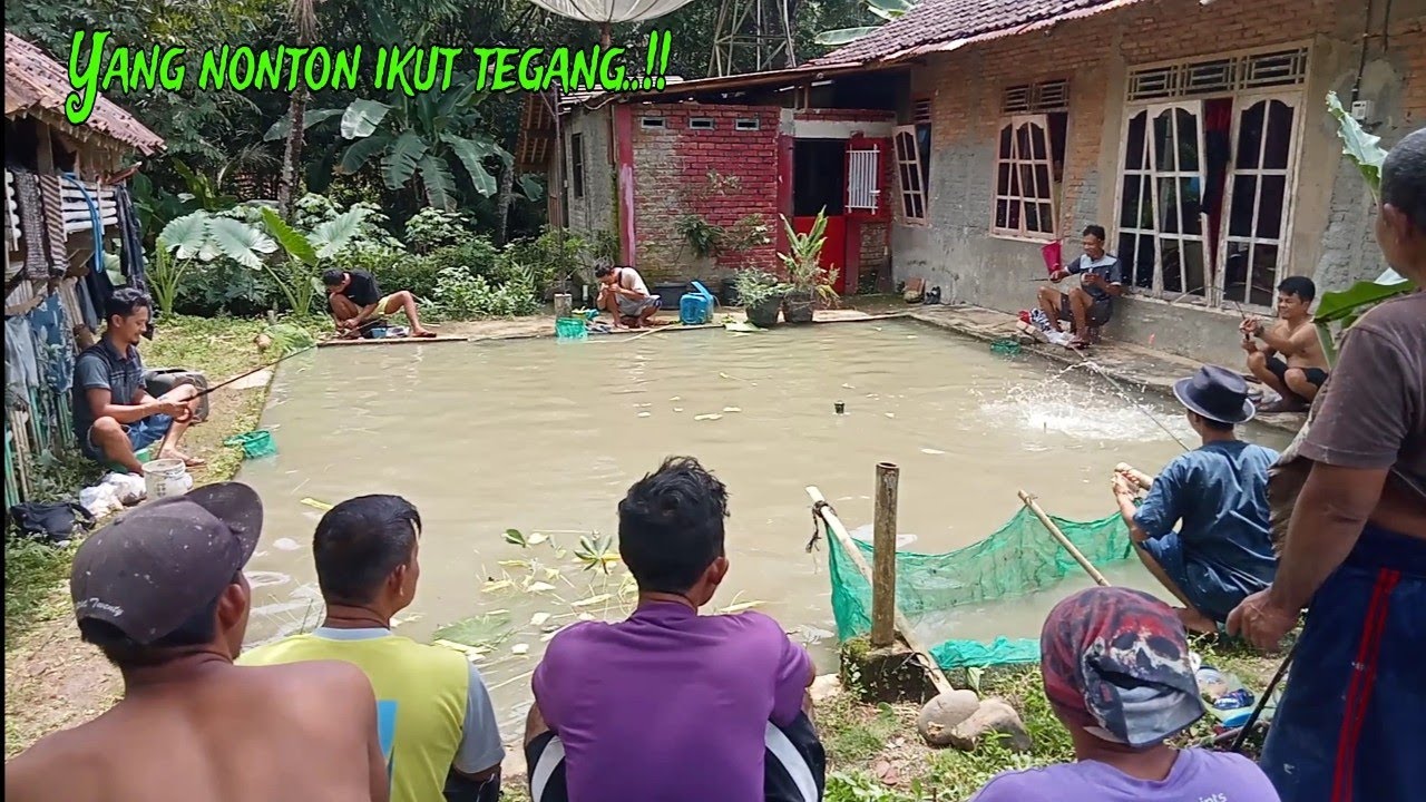 Yang nonton aja seneng‼️apa lagi yang mancing