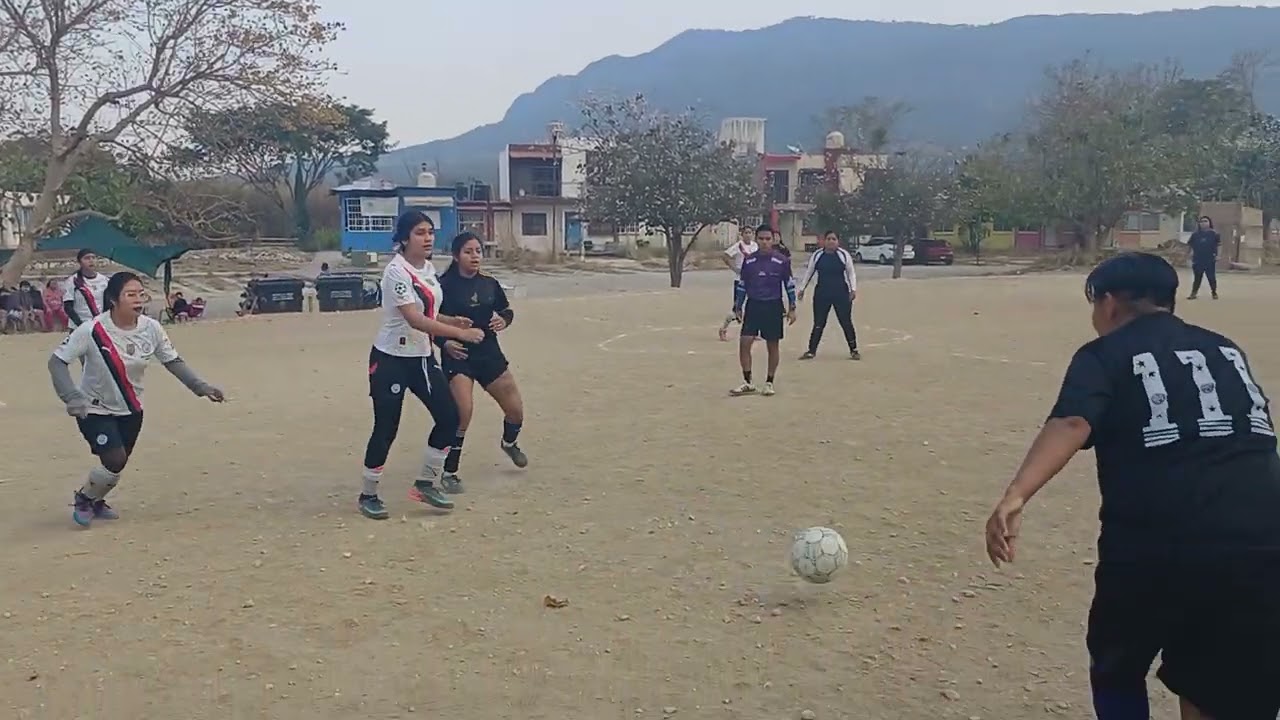 Fenix vs felinas 5-1