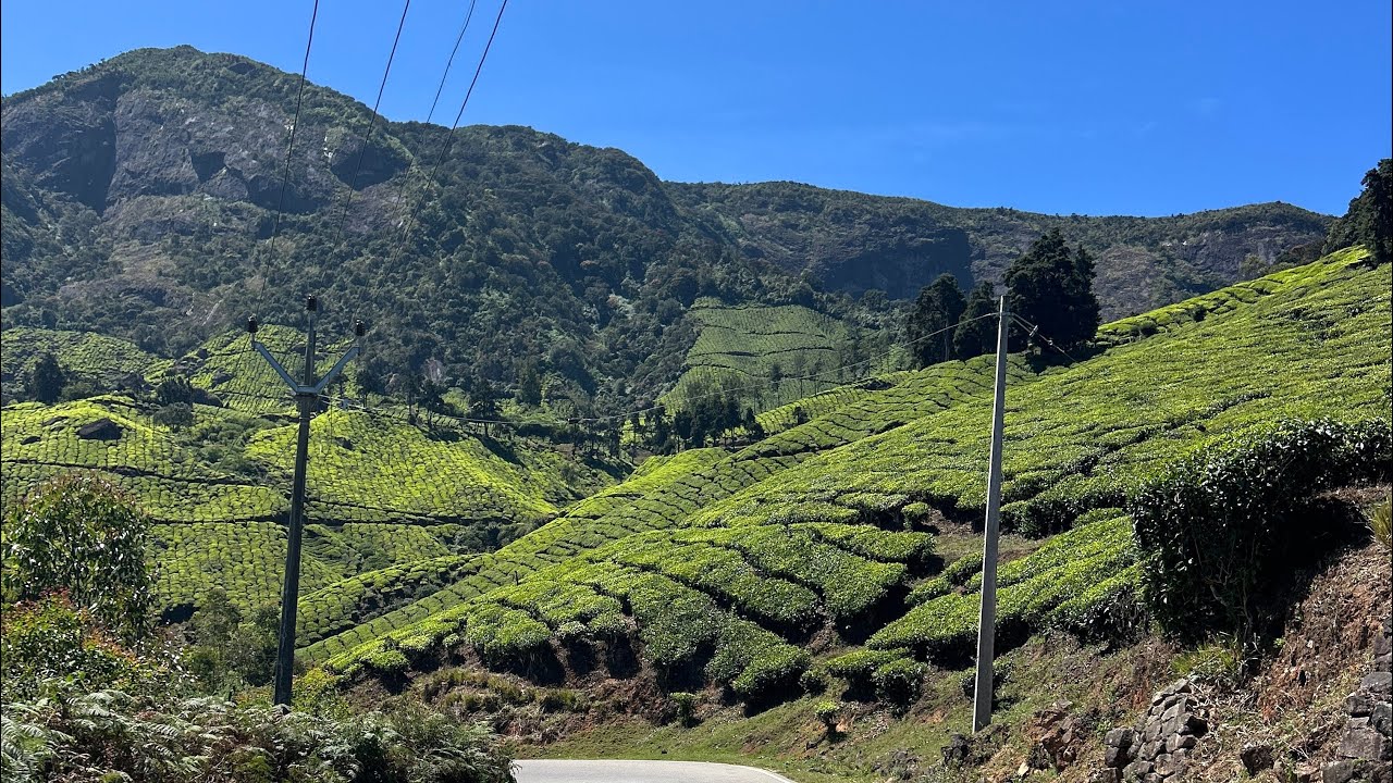 Munnar Mountain View
