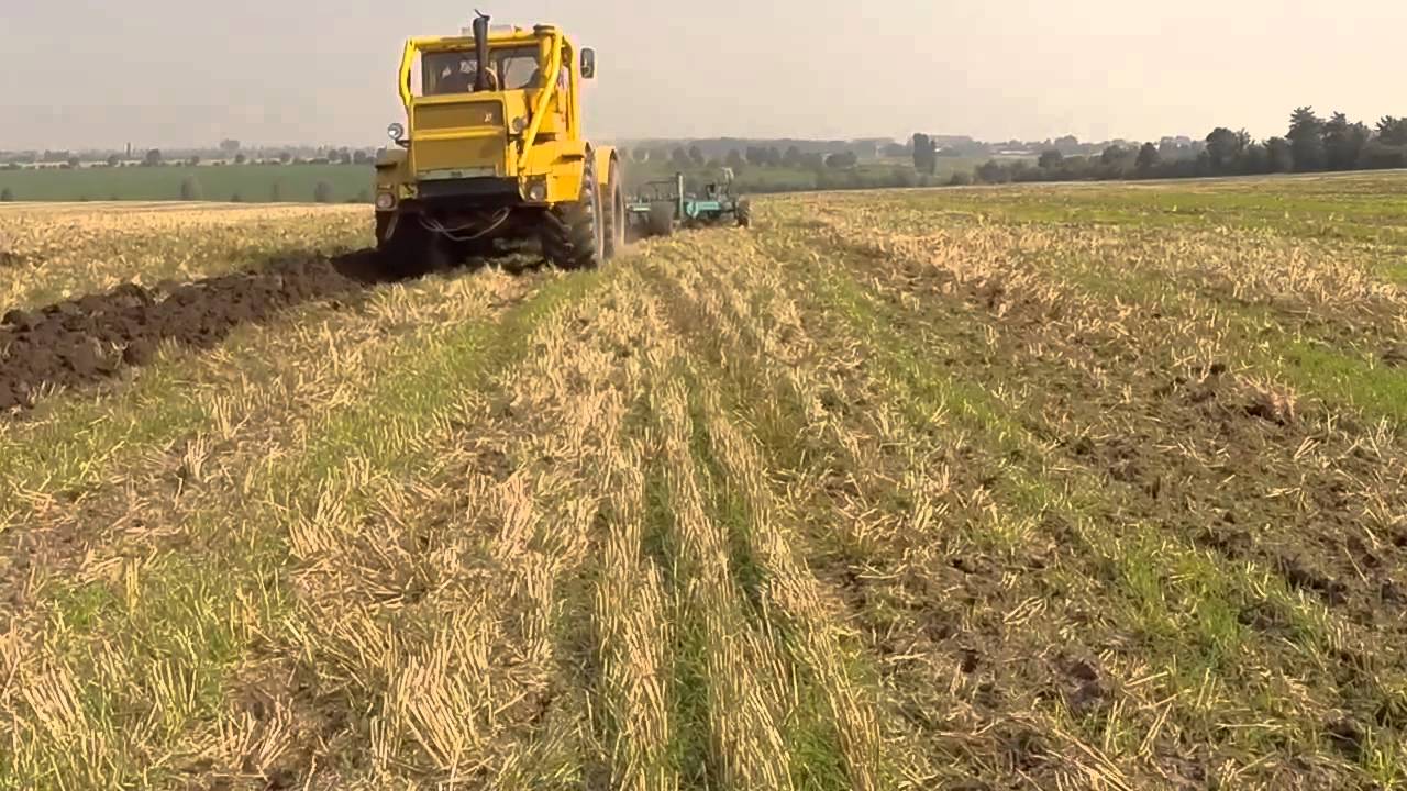 Schaupflügen in Wilsleben