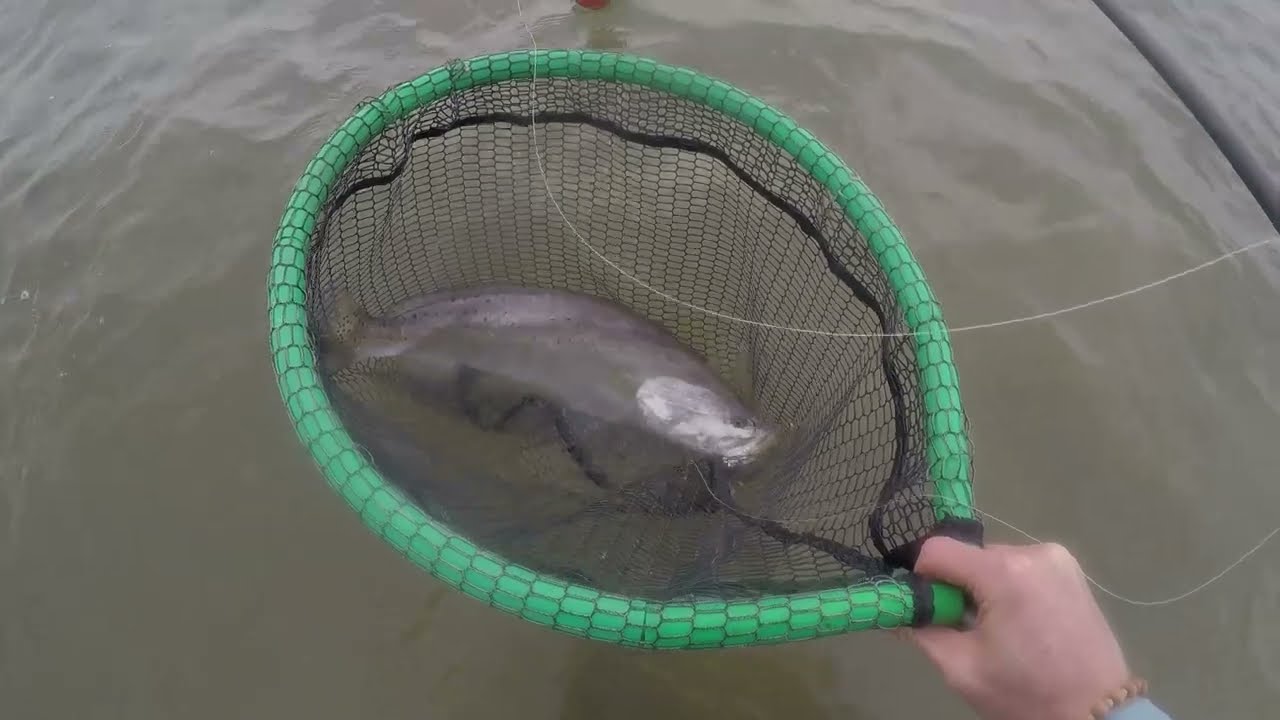 My NEW (to me) Tarpon 140 and gator trout!