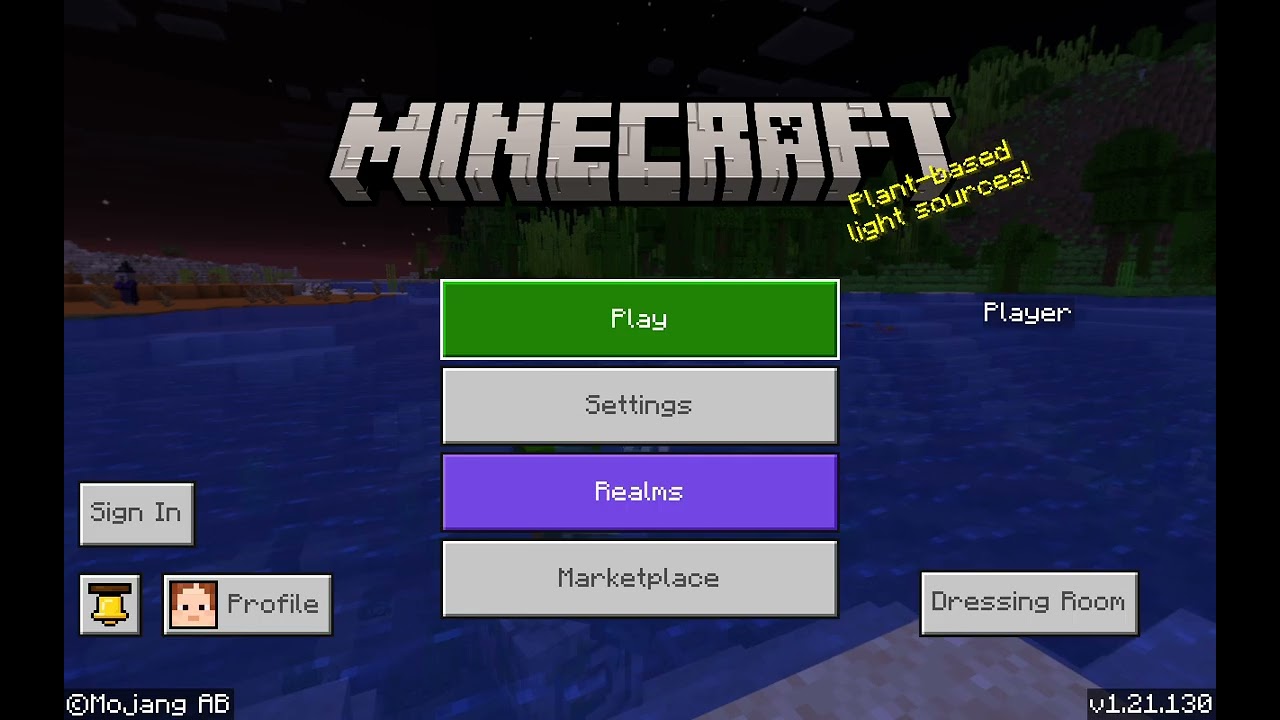 Minecraft Survival World 1: My First Night!