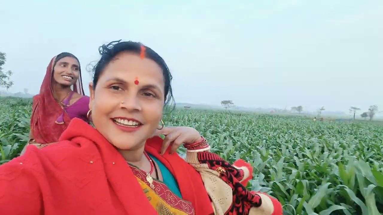 मेरा ब्लॉक वीडियो में आप सब का स्वागत है और कैसा लगा वीडियो कमेंट में जरूरबताइएगा