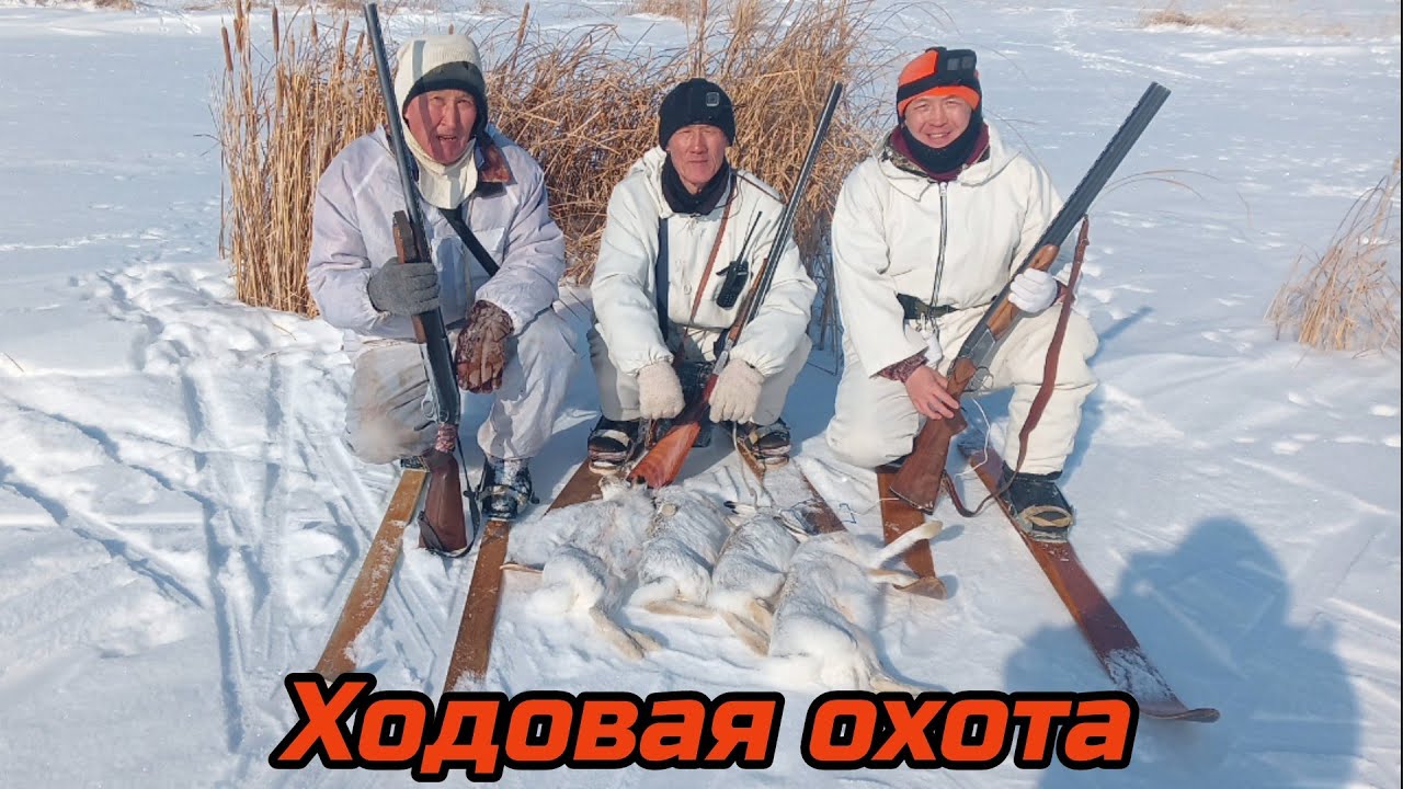 7 Зайцев в два захода,5 в кадре.#охота 2023#охота на зайца