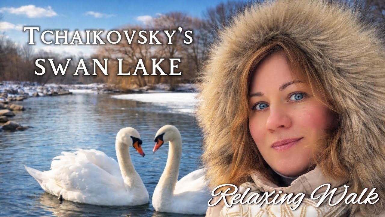 Зимнее Лебединое озеро 🦢 | Зимняя прогулка под музыку Чайковского ❄️ | Берлин 🇩🇪