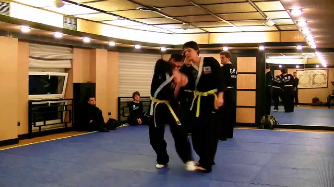 Russian Hapkido certification