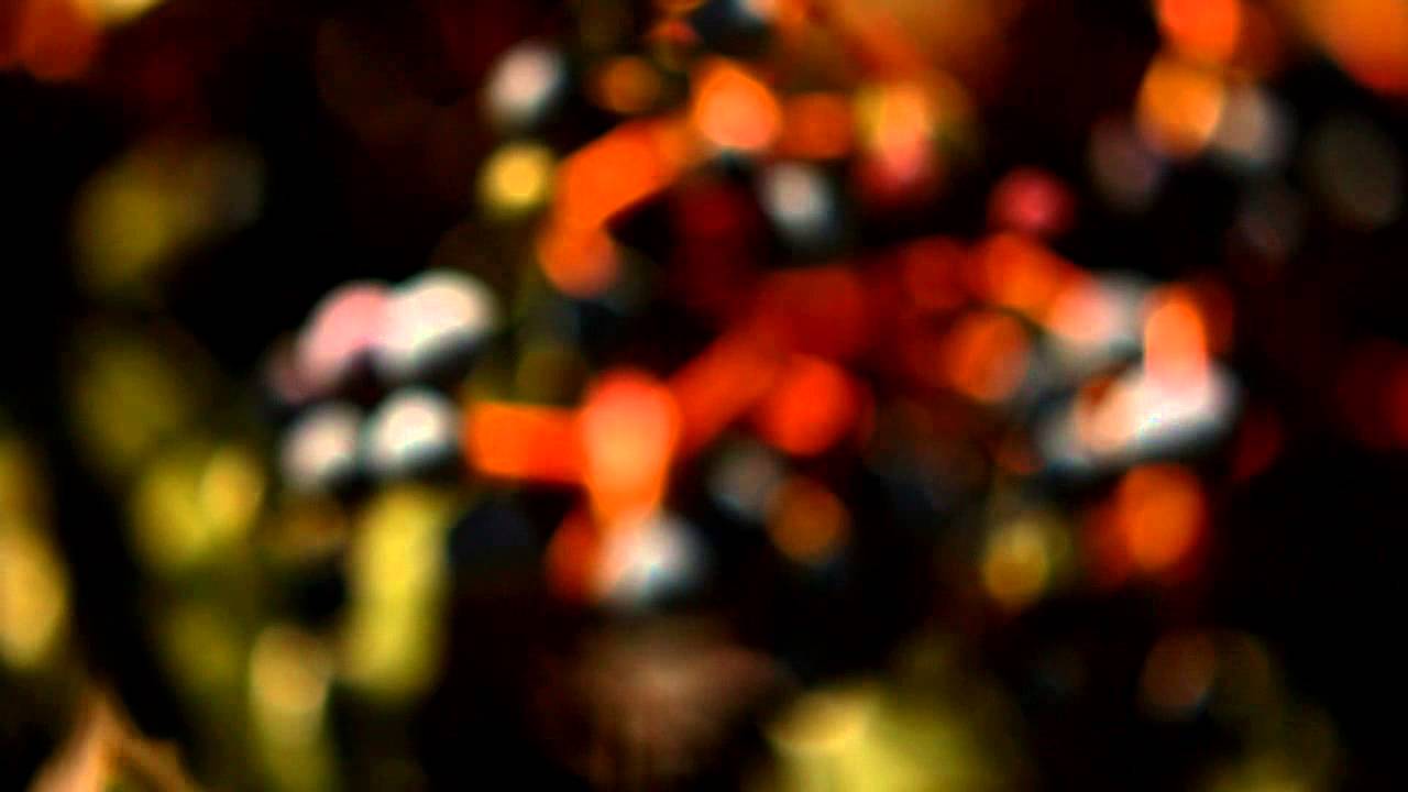La Bandiera BLU Spot (watch in HD)