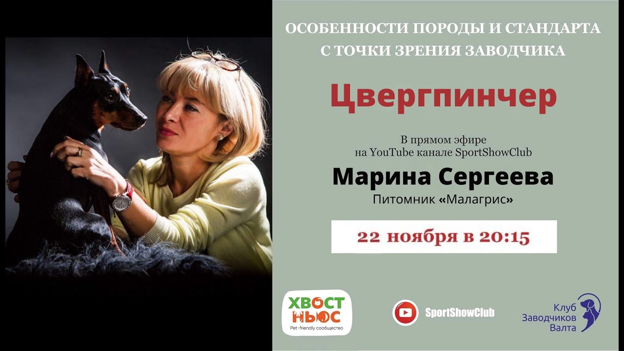 Цвергпинчер / Марина Сергеева. Питомник 