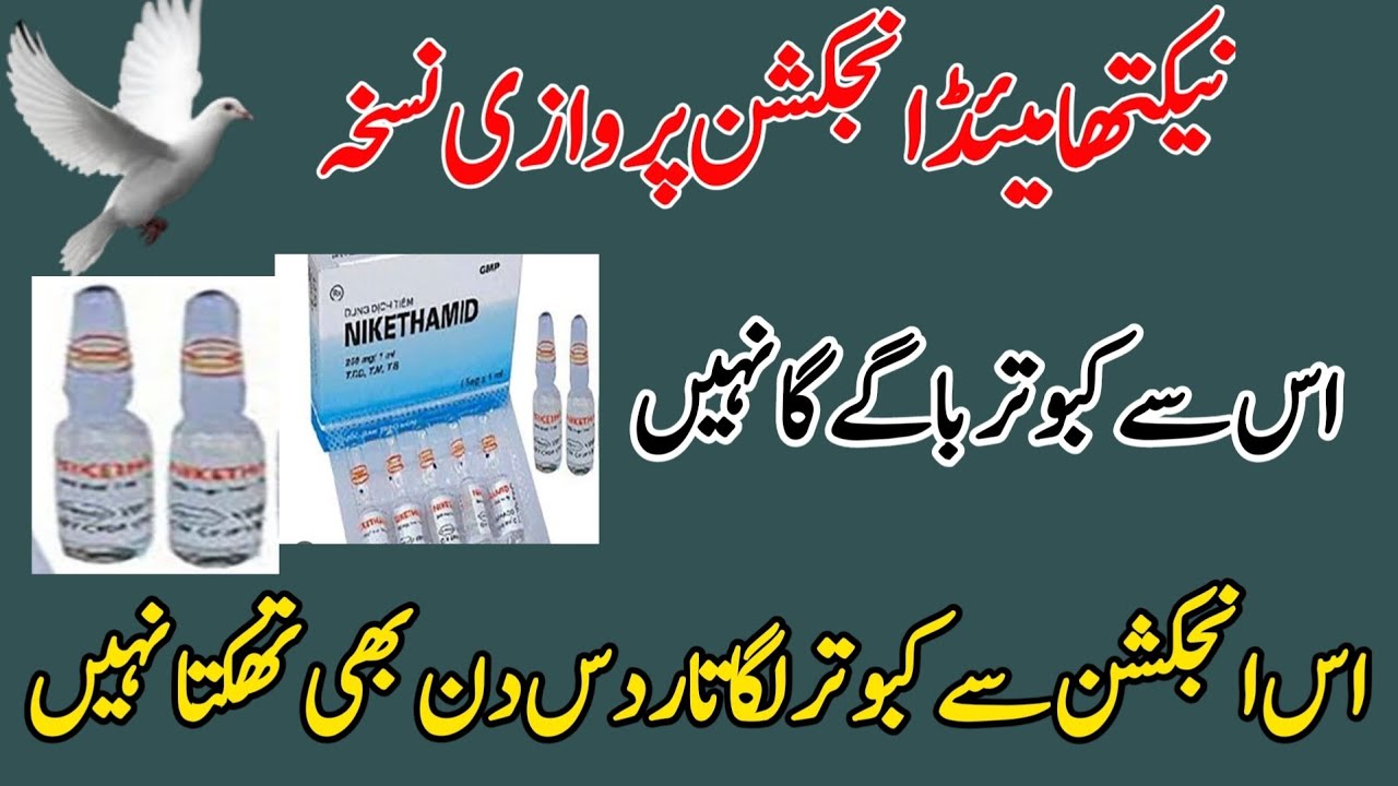 NIKETHAMID TEKA PARWAZI NUSKHA 