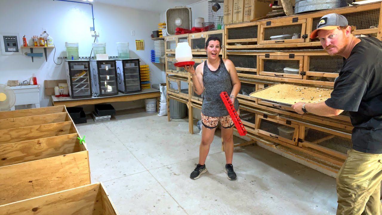 Hatchery Organizing And Cleaning!