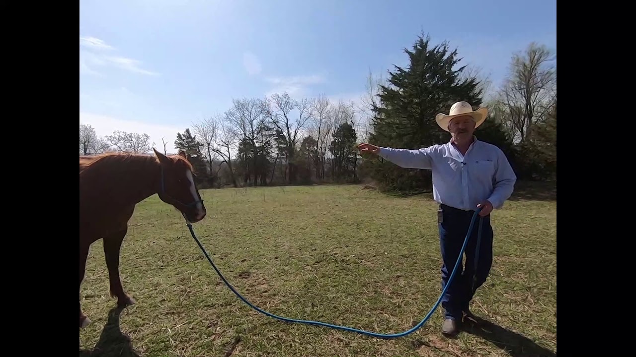 How to stop your horse from running over you when leading him.
