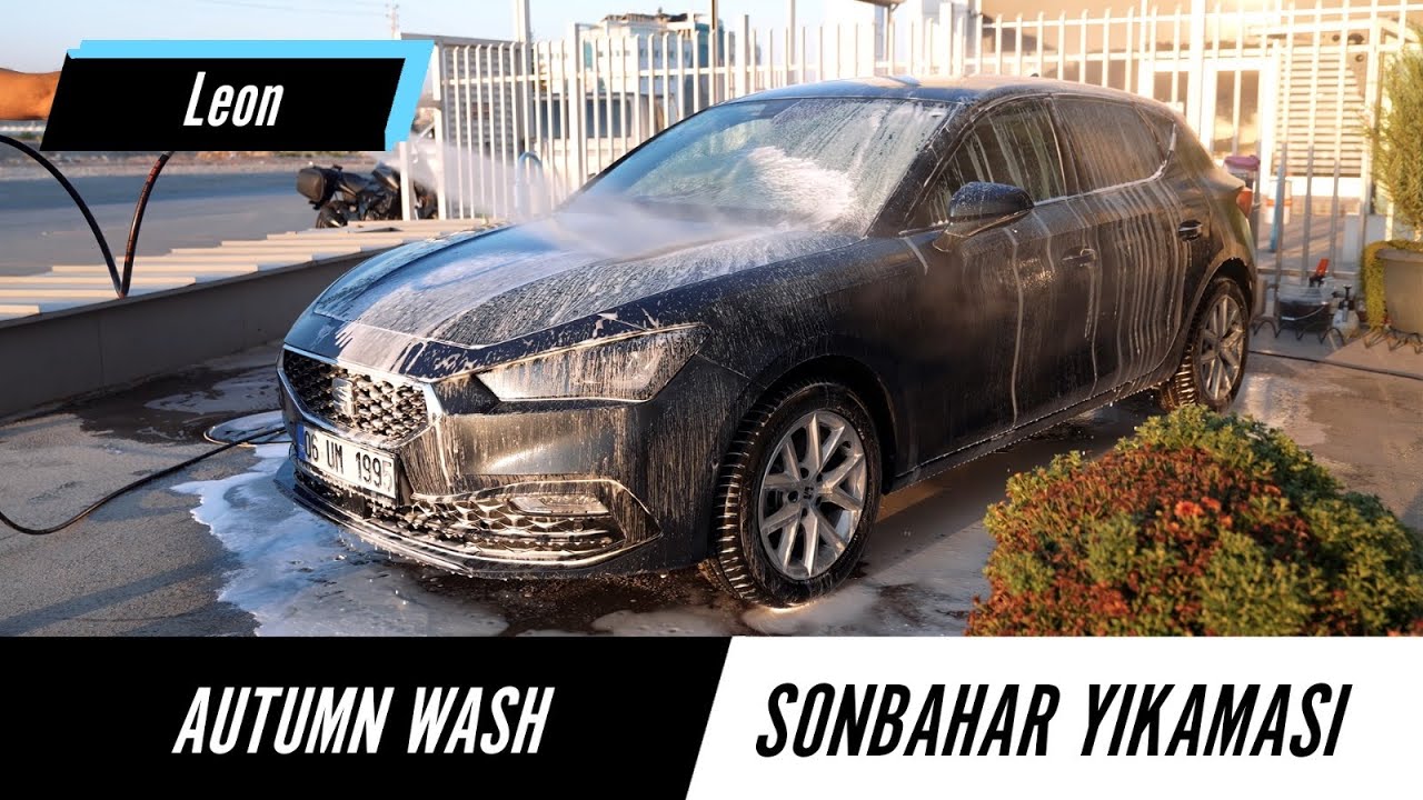 Agitated Autumn Wash for Seat Leon / Detaylı Bahar Yıkaması