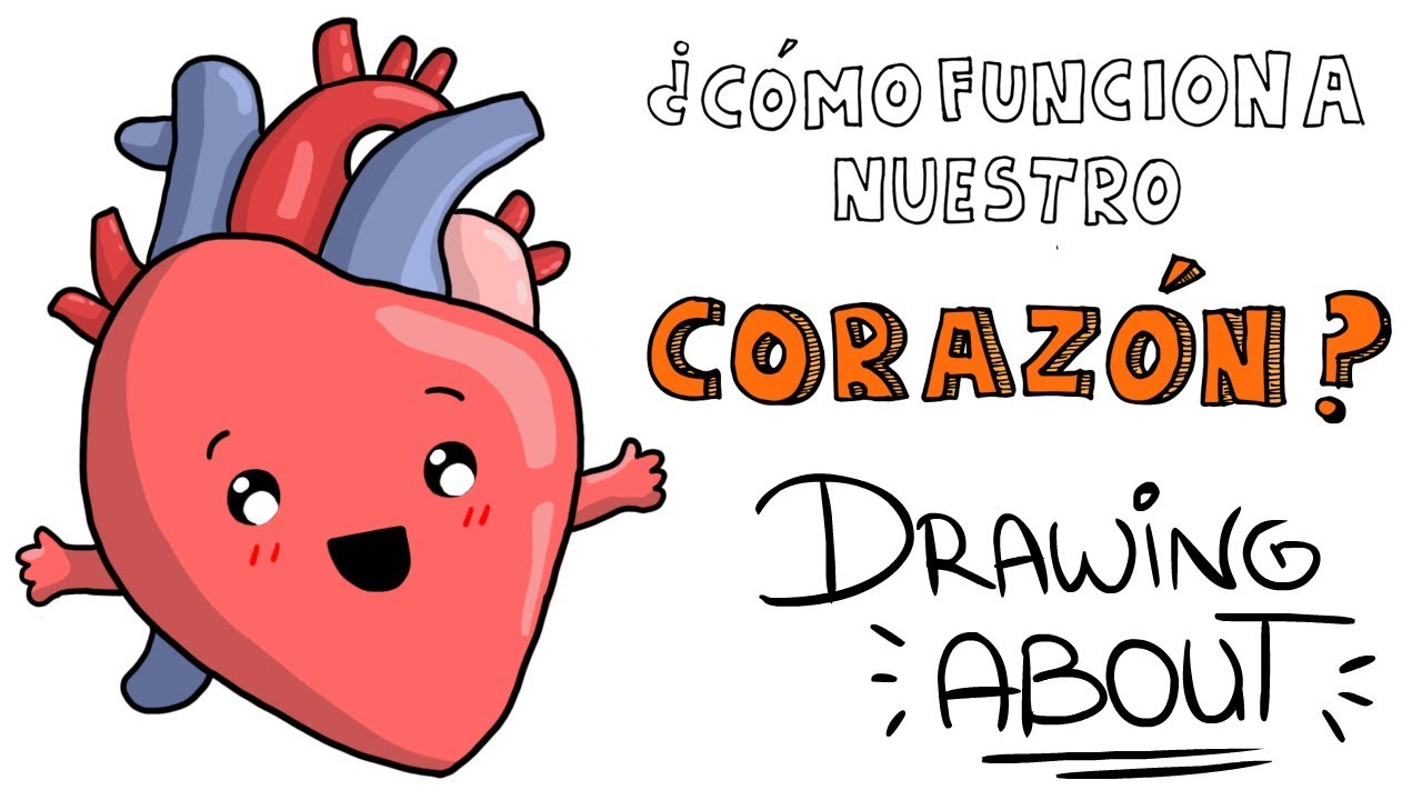 ¿CÓMO FUNCIONA EL CORAZÓN? ♥️ | Drawing About con @GlóbuloAzul
