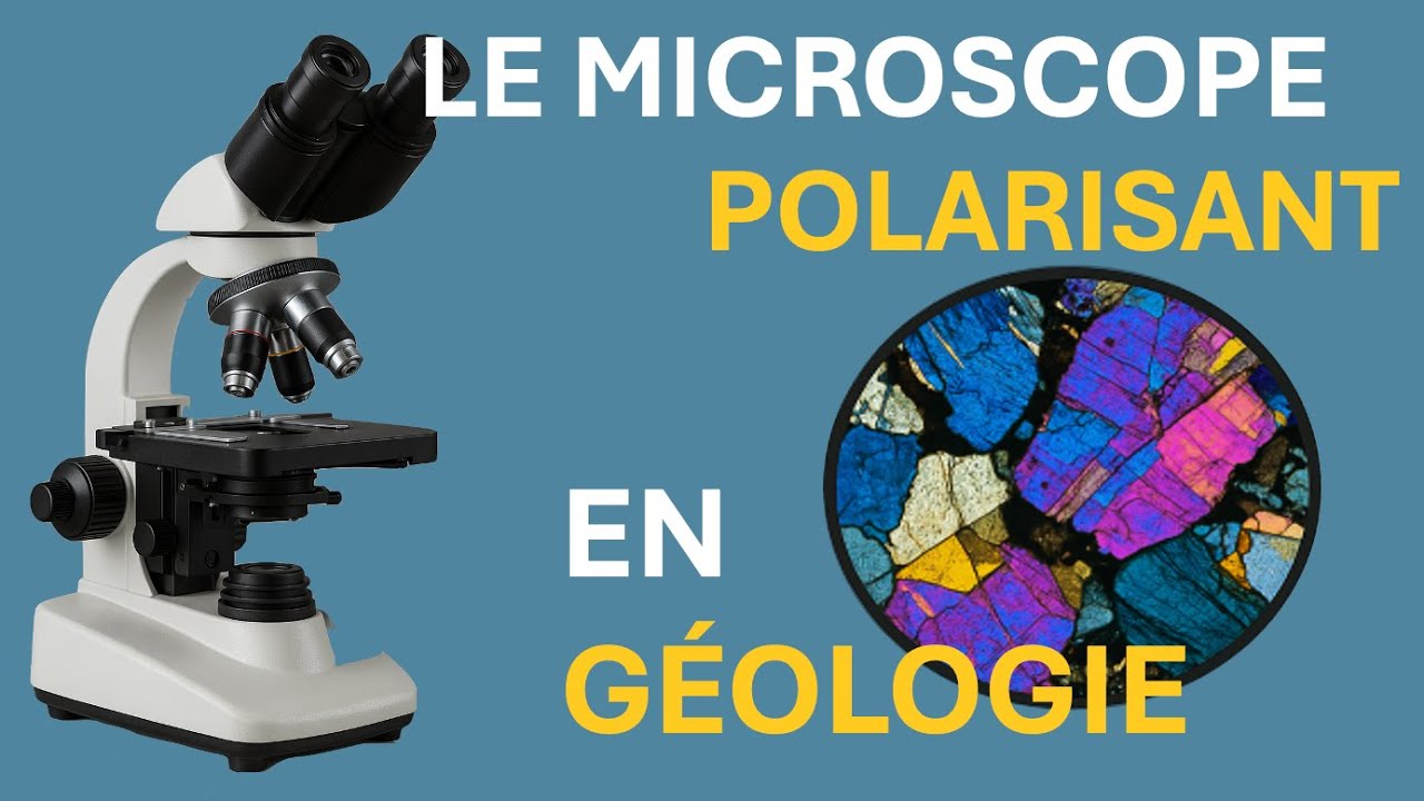 🔬Microscope polarisant SVT